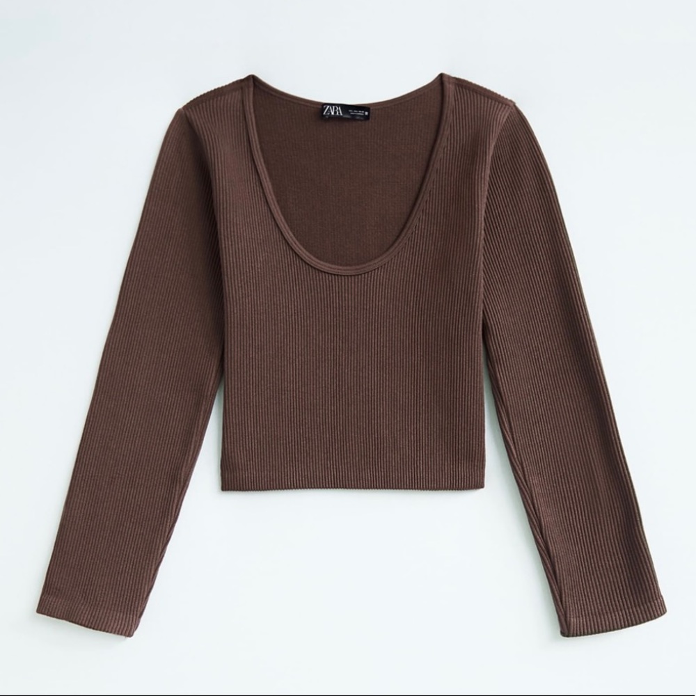 Zara Stretch Crop Top